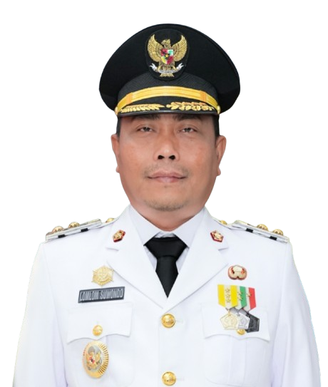 Wakil Bupati